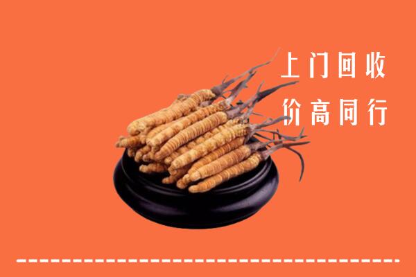 高价求购：巴音郭楞州回收散虫草