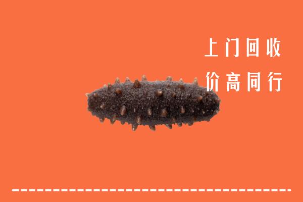 巴音郭楞州回收海参