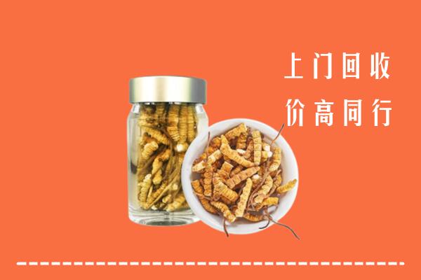 巴音郭楞州回收冬虫夏草